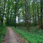 아파트 Am Pinzigberg Deyelsdorf
