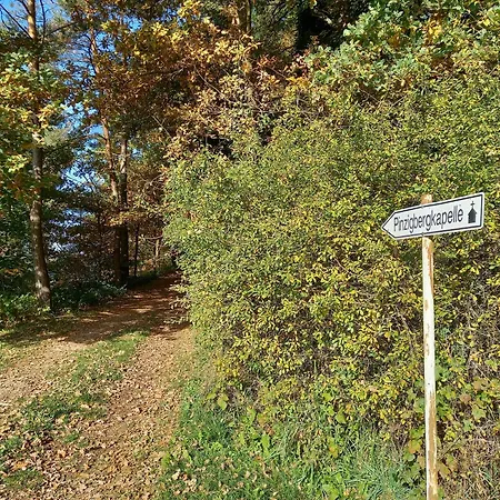 Am Pinzigberg 公寓 *