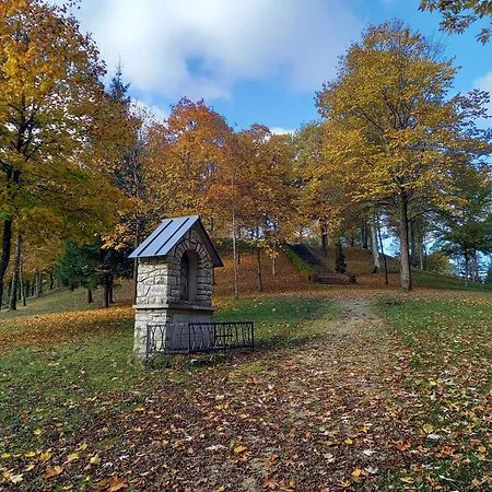 公寓 Am Pinzigberg *