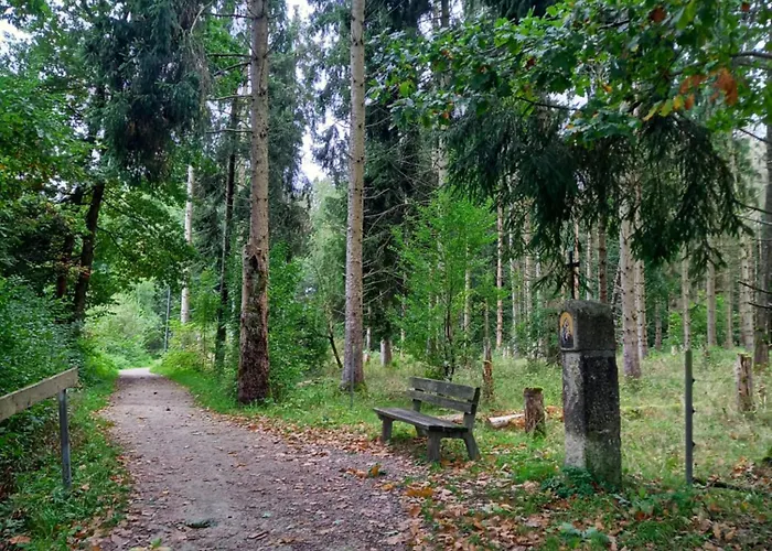 Am Pinzigberg Apartment