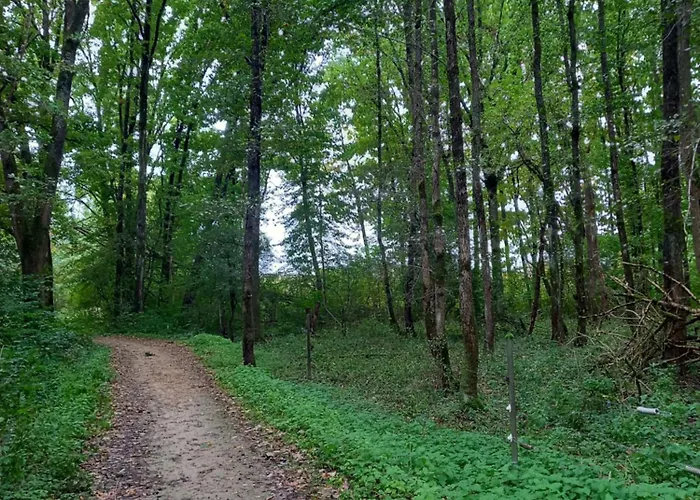 Apartment Am Pinzigberg Deyelsdorf